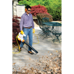 STIHL BGE 71