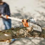 STIHL HTA 135