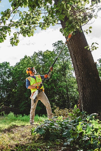 STIHL HTA 135