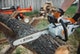 STIHL MS 201 C-EM