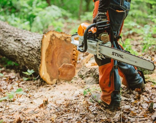 STIHL MS 462 C-M