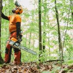 STIHL MS 462 C-M