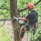 STIHL MSA 161 T