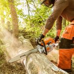 STIHL MS 291