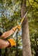 STIHL PP 100 Extended Reach Pruner