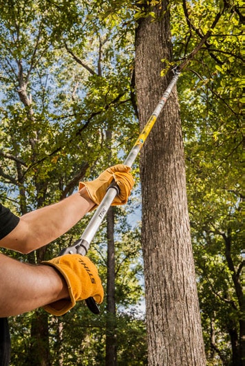 STIHL PP 100 Extended Reach Pruner