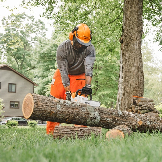 STIHL MSA 220 C-B