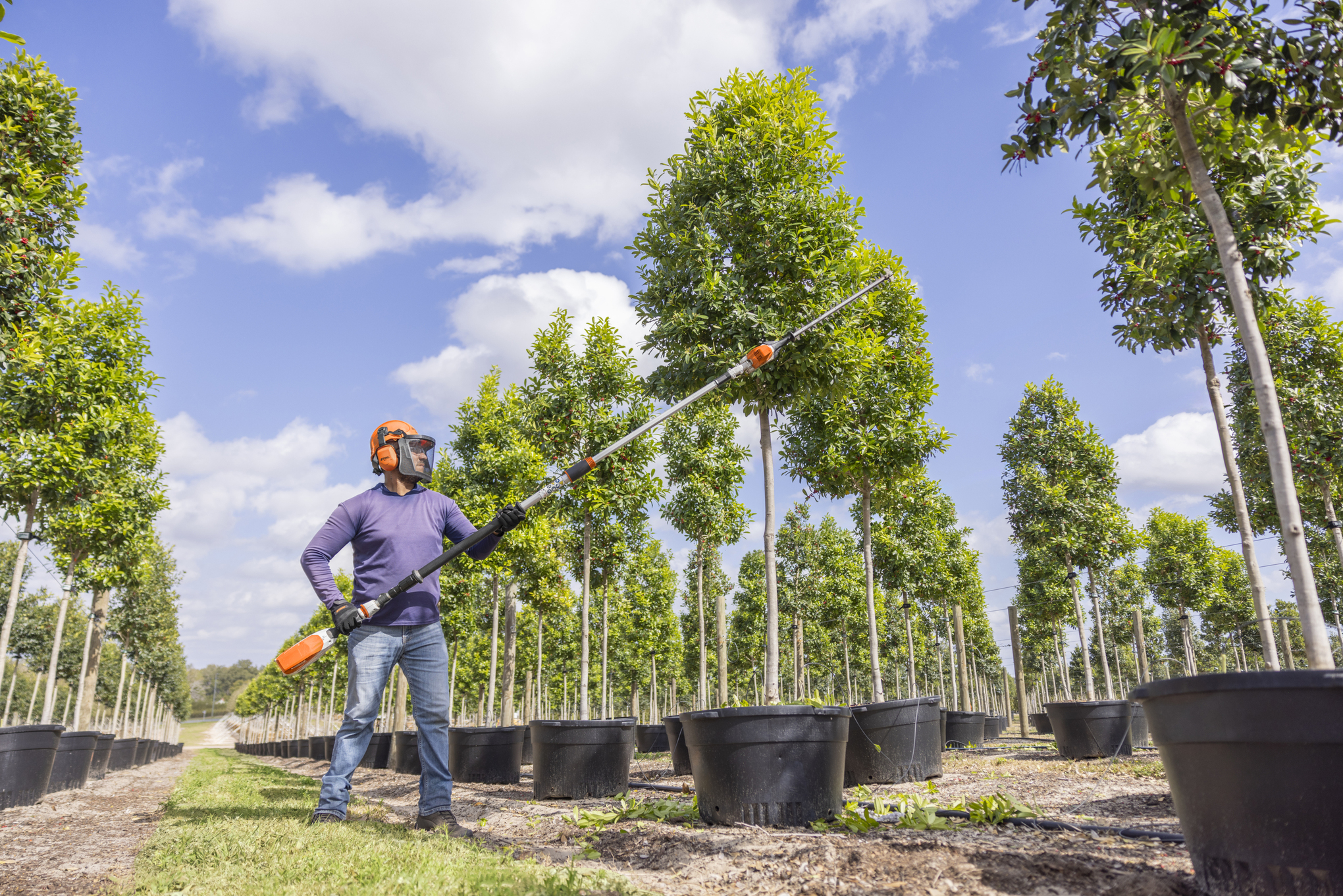 STIHL HLA 86 Battery Powered extended-reach Hedge Trimmer