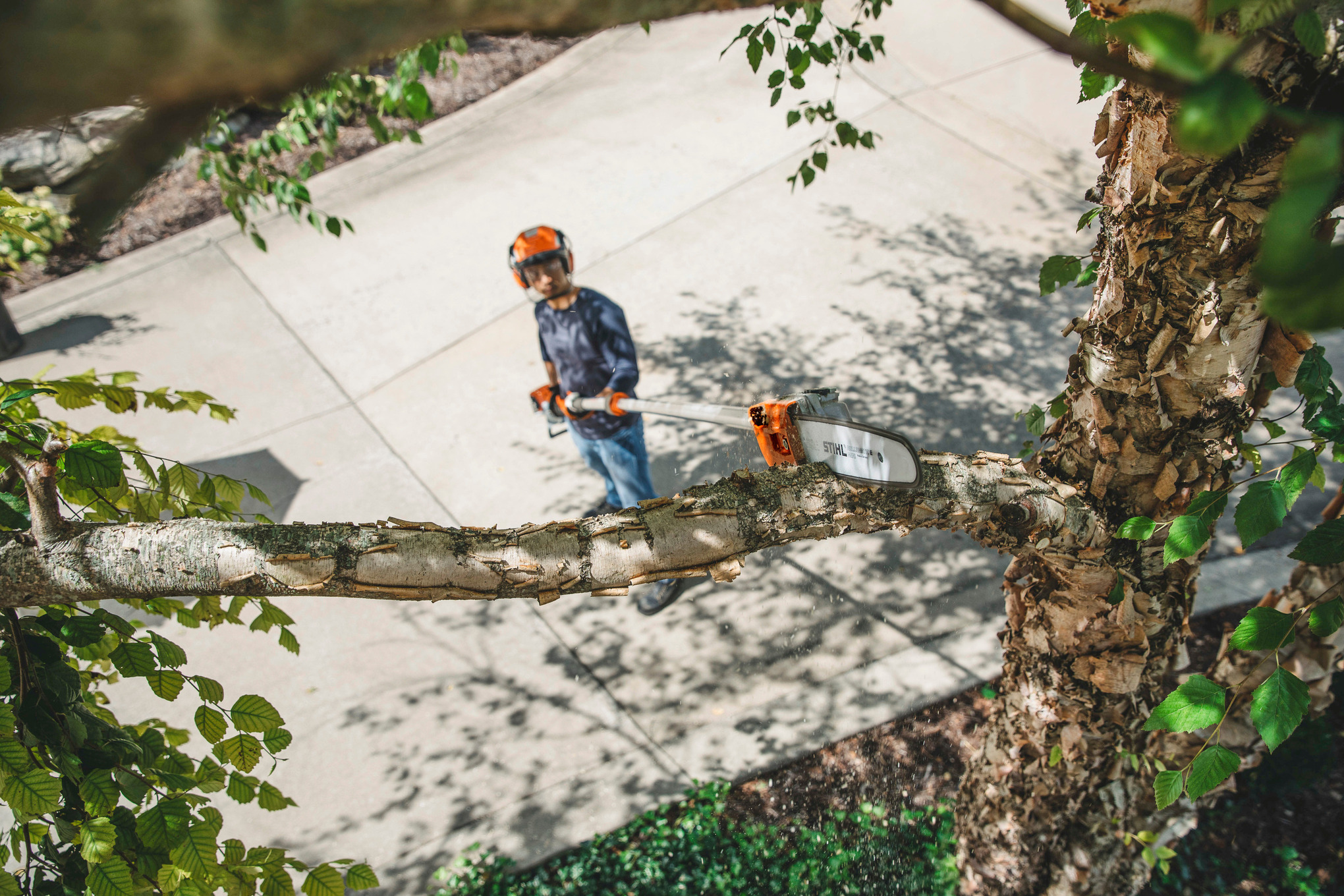 STIHL HT 135 Gasoline Pole Pruner