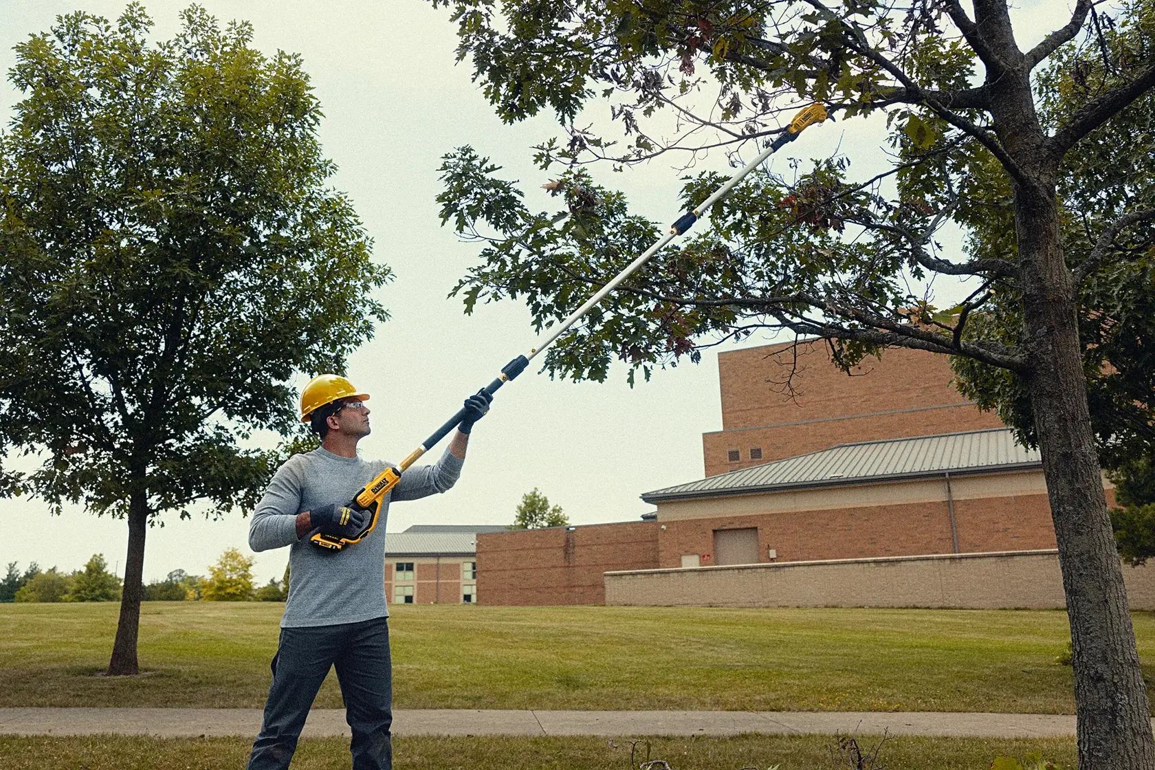 DEWALT® 20V MAX* 1-1/2-in. Cordless Pole Pruner (Tool Only)